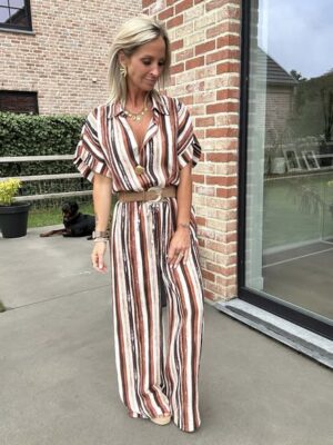 514253093_1041177134866480_8746014574579260435_n