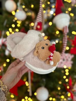 Photo 12-12-25 14 33 42