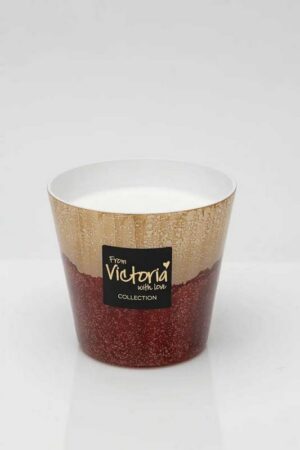 566502732_817749047778754_7622138039732134130_n