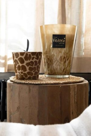 566658670_669765546202718_1861324068094972436_n