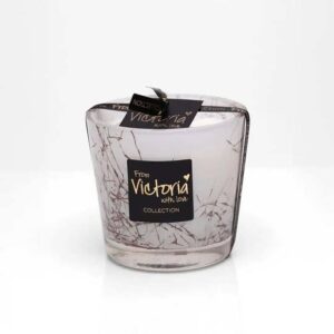 568206897_2228142587681981_3191357953133142571_n