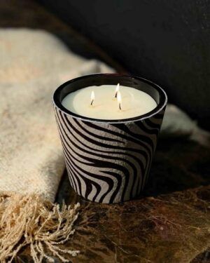 575209226_1934581997461277_3420989584037520435_n