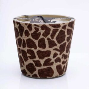 575218711_1119185016665640_7818027239650173769_n