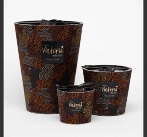 575263739_1132704321961727_4845641362785547202_n