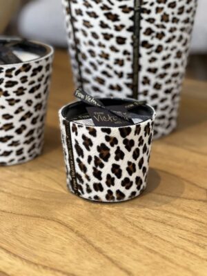 575409367_2257140561465045_5419954236824034442_n