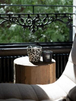 575623127_854340793659708_6284575654008915031_n