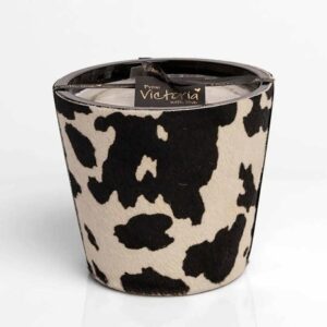 575628489_1735629160461077_8035675854553970133_n (1)