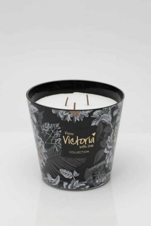 575630349_4109423479311514_6246689798881042064_n