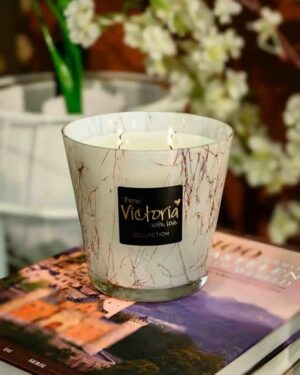 575911620_1459551335528864_4084317463829242835_n