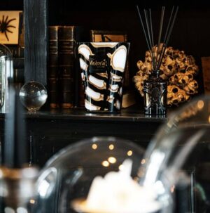 576281815_1970193506863060_8907040134516999227_n