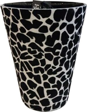 576462918_708875741740068_1501131185833450737_n