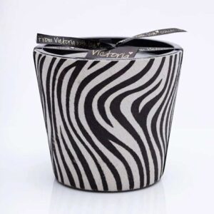 578207983_1370101268084486_4777340550677255726_n