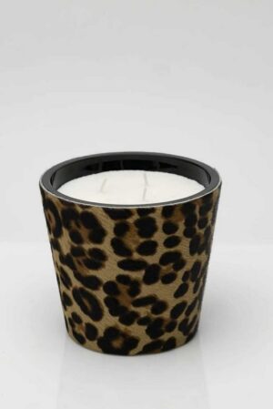 578392028_1373626584211095_8654111108165400516_n