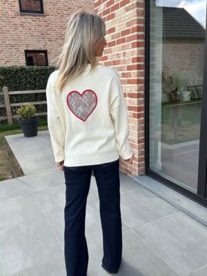 Photo 1-10-26 15 04 51